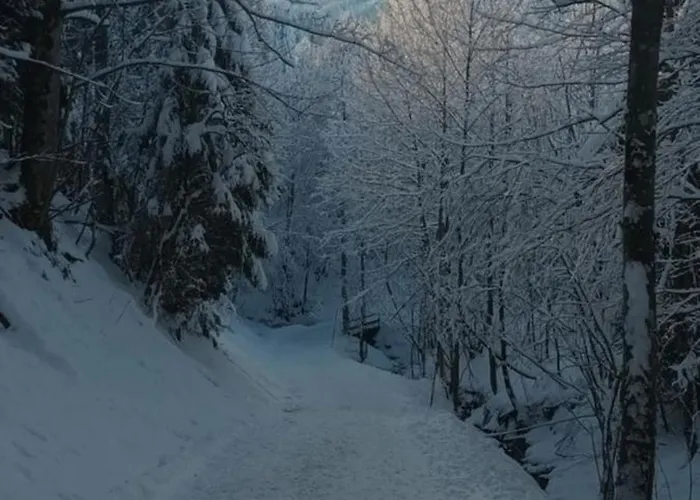 Alpinrefugium Haus Am Anger