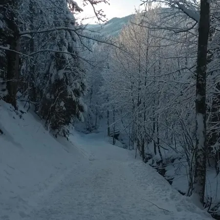 Alpinrefugium Haus Am Anger