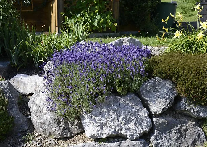 Lejlighed Alpinrefugium Haus Am Anger Jungholz